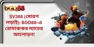 SV388 মোরগ লড়াই: BGD88-এ রোমাঞ্চকর ম্যাচের আলোড়ন!