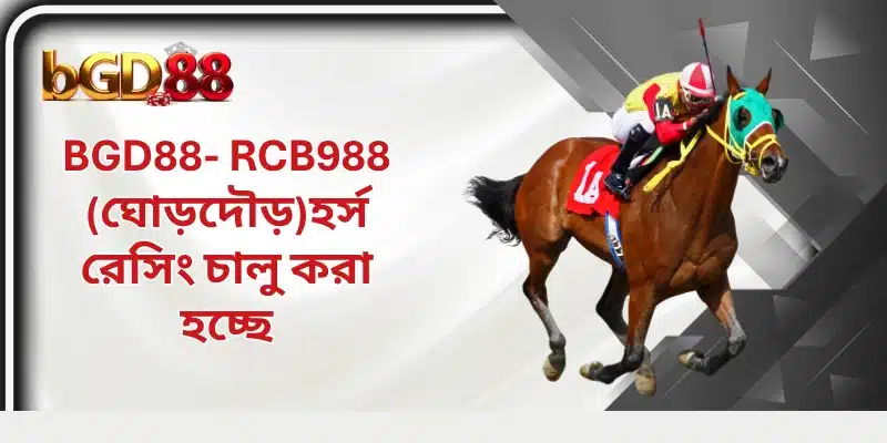 BGD88- RCB988 (ঘোড়দৌড়)হর্স রেসিং চালু করা হচ্ছে