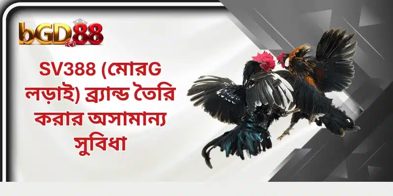 SV388 (মোরg লড়াই) ব্র্যান্ড তৈরি করার অসামান্য সুবিধা